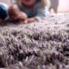 Carpet Sign Sauvage karpet-9572