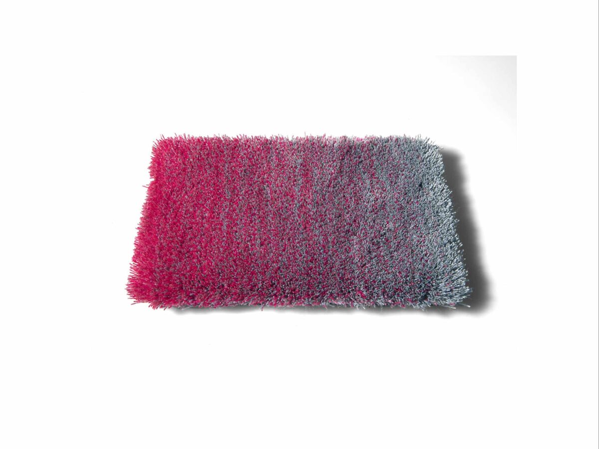 Carpetsign karpet cameleon pa