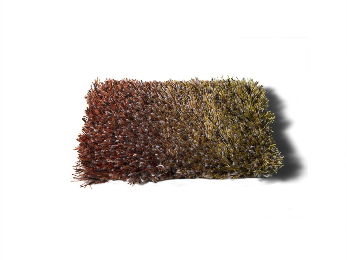 Carpetsign karpet sauvage degrade pa