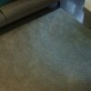 Carpetsign karpet sauvage degrade sf